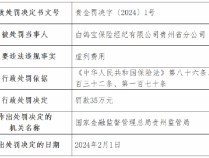 白鸽宝保险经纪贵州省分公司因虚列费用被罚35万元